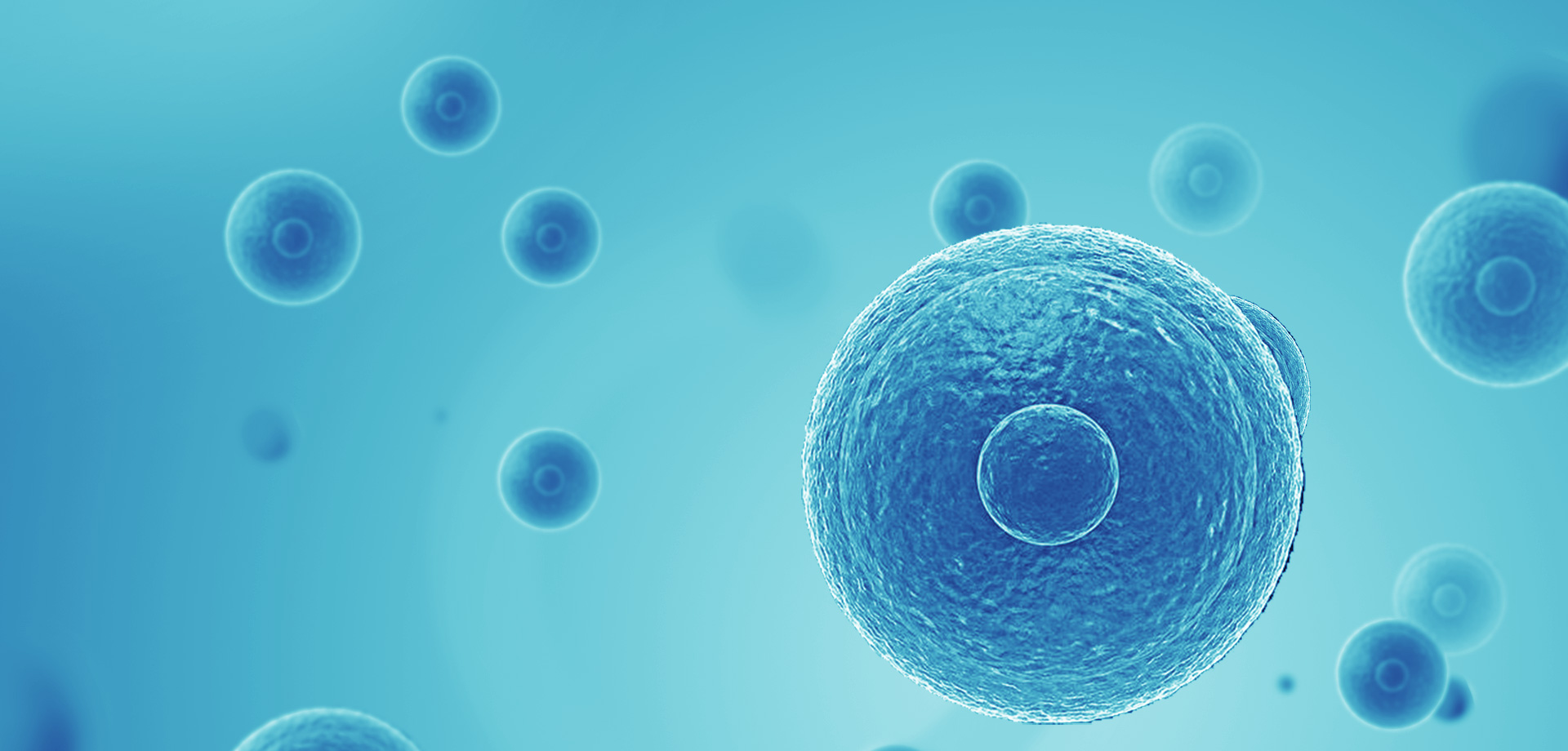 以患者需求為核心，驅(qū)動(dòng)細(xì)胞免疫治療創(chuàng)新，實(shí)現(xiàn)癌癥可控化并最終治愈。